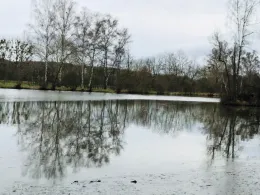 Großer Eisteich (Bad Köstritz)-2