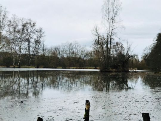 Großer Eisteich (Bad Köstritz)-3