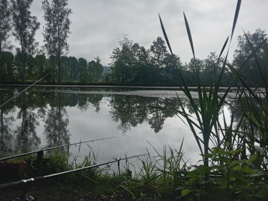 Großer Eisteich (Bad Köstritz)
