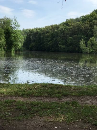 Großer Eisteich (Bad Köstritz)-4