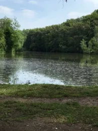 Großer Eisteich (Bad Köstritz)-4