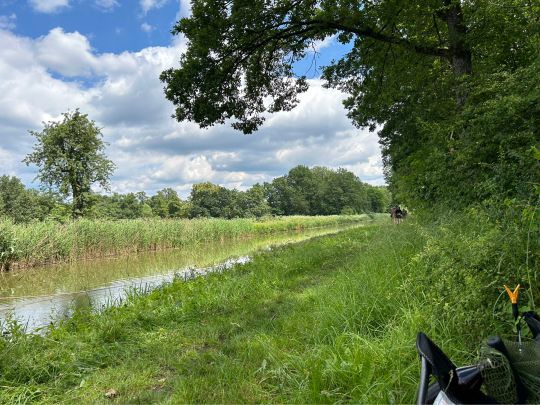 Ludwig-Donau-Main-Kanal (Schwarzenbach)-4