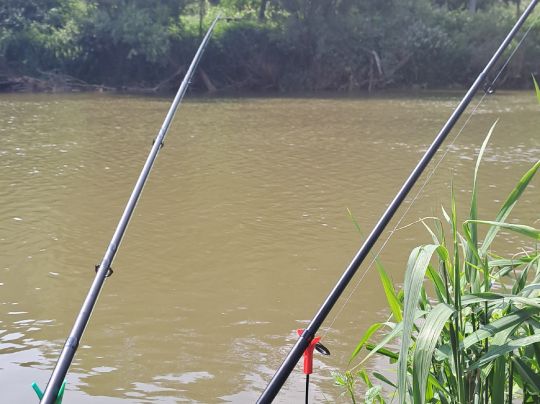 Kocher (Niedernhall)-4