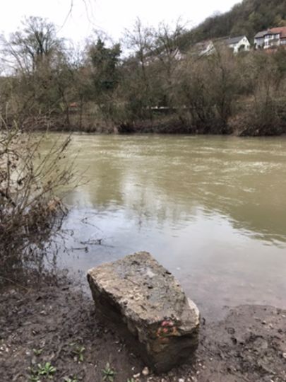 Kocher (Niedernhall)-3