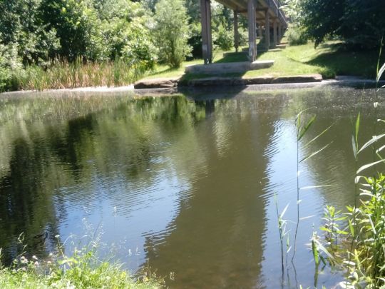 Kalkgraben (Rüdersdorf) angeln