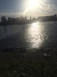 Rhein (Germersheim)-4