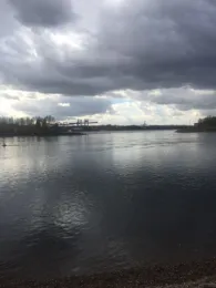 Rhein (Germersheim)-3