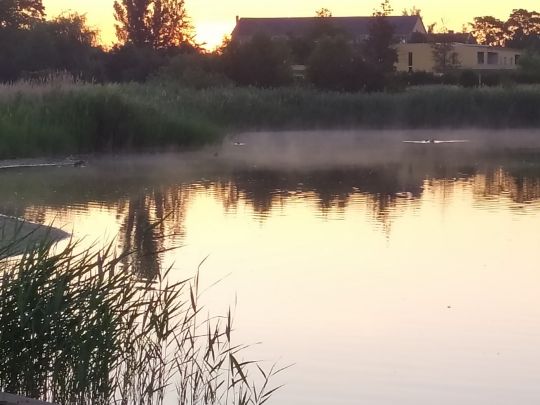 Kiesgrube Magdeburger Straße (Schönebeck)-2