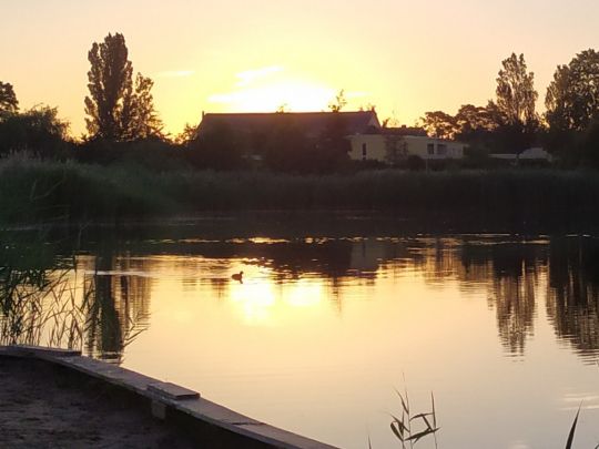 Kiesgrube Magdeburger Straße (Schönebeck)-1