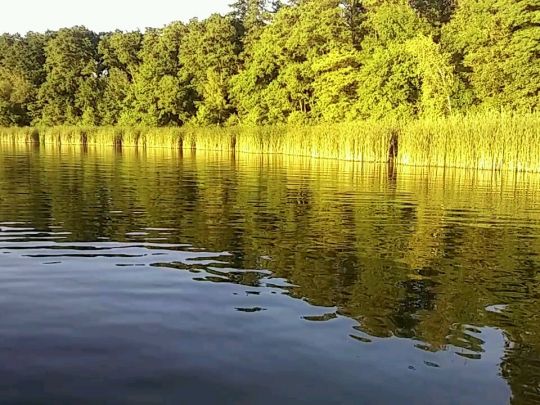 Großer Zug (Königs Wusterhausen)-2