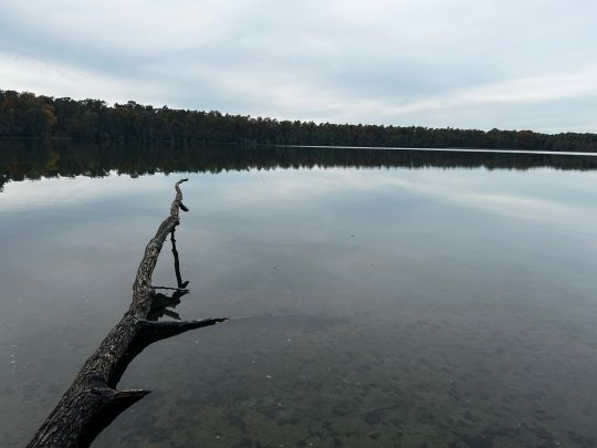 Kolpinsee (Lehnin)