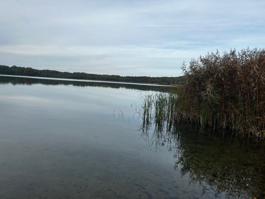 Kolpinsee (Lehnin)-3