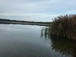 Kolpinsee (Lehnin)-3