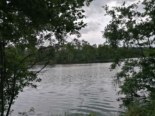 Kolpinsee (Lehnin)-4
