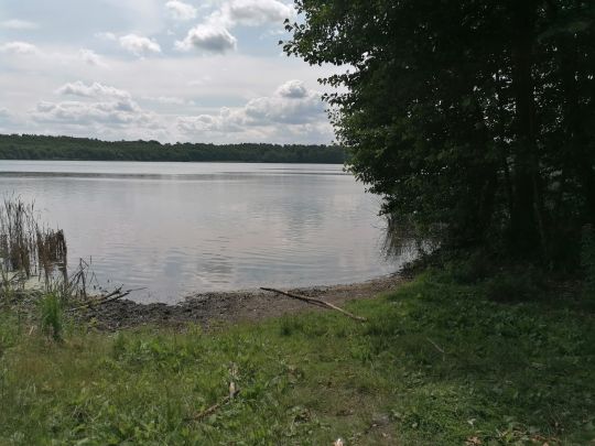Kolpinsee (Lehnin)-2