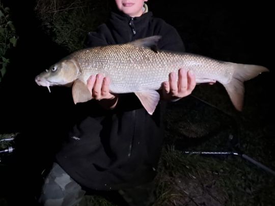 Kocher (Ingelfingen)-3