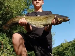 Kocher (Ingelfingen)-1