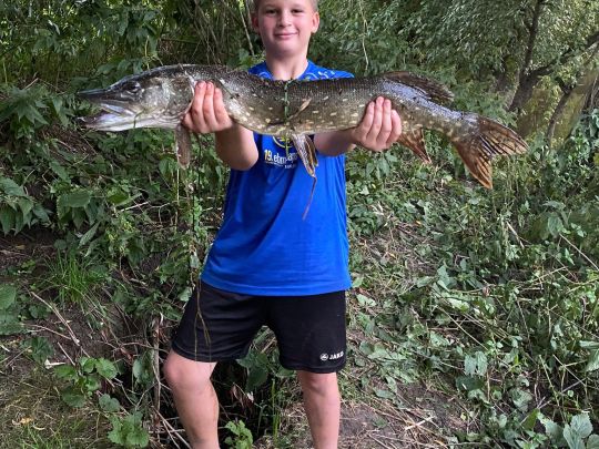 Kocher (Ingelfingen)-2