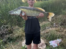 Kocher (Ingelfingen)