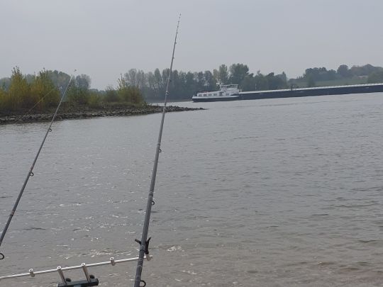 Rhein (Wesel)-3