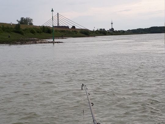 Rhein (Wesel)-2