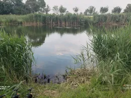 Schwarze Elster (Wahrenbrück)-2