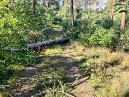 Schwarze Elster (Wahrenbrück)