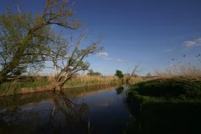 Altmühl (Herrieden)-1