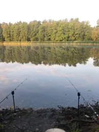 Dewinsee-3