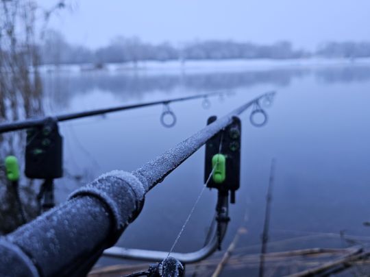 Halberstädter See 1-2
