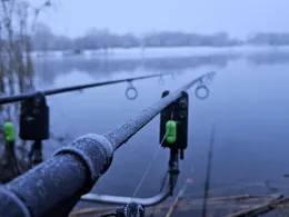 Halberstädter See 1-2