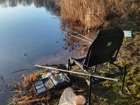 Halberstädter See 1