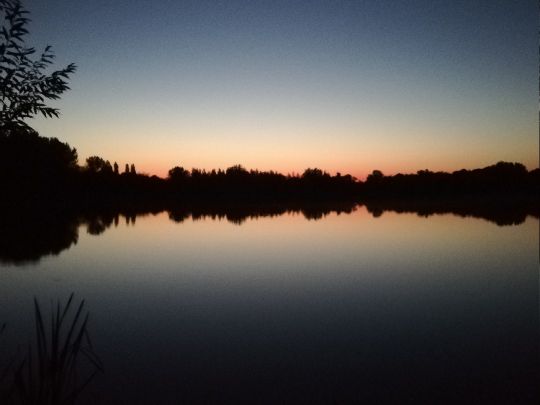 Halberstädter See 1-4