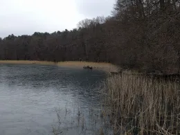 Jezioro Trześniowskie (Ciecz)-0