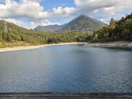 Urisee -4
