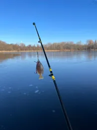 Malchower See (Berlin-Malchow)-3