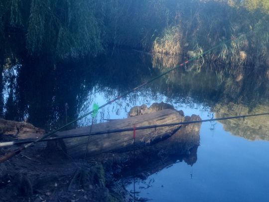 Malchower See (Berlin-Malchow)-0