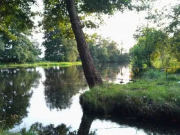 Spree (Erkner)-4
