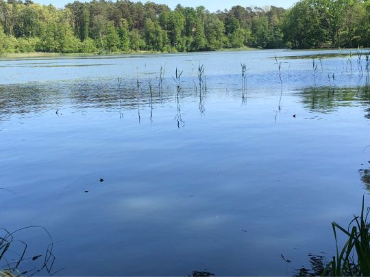 Chossewitzer See-4