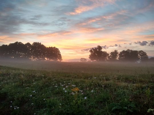 Ems (Meppen)-2