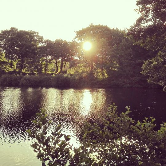 Baggersee Collinghorst-2