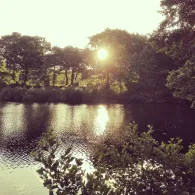 Baggersee Collinghorst-2