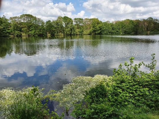 Baggersee Collinghorst-4