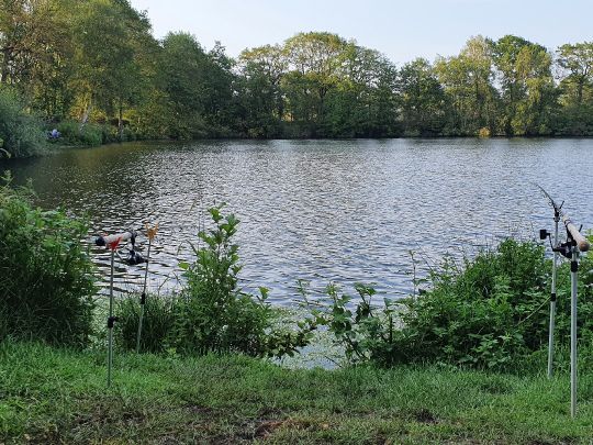 Baggersee Collinghorst-1