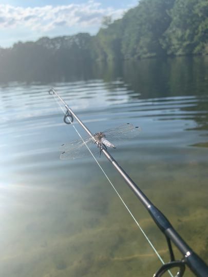 Baggersee Collinghorst