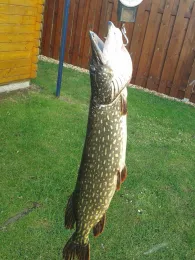 Kiesgrube Rockendorf