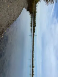 Kiesgrube Rockendorf-3