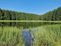 Vorbecken Rohrbach-1