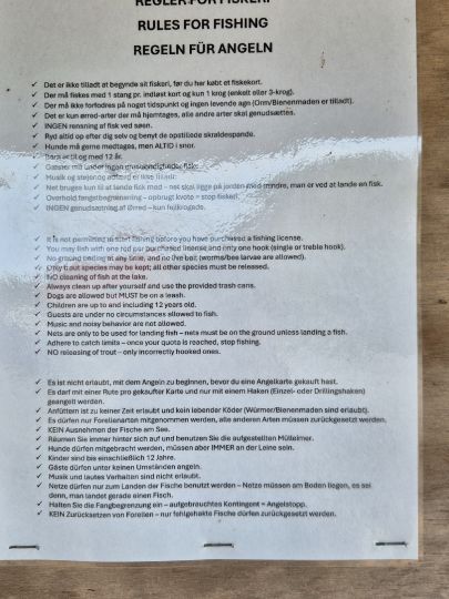 Marielyst Fiskesø-2