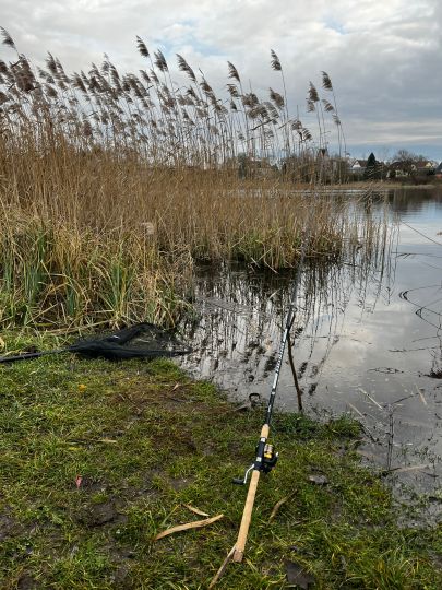 Großer Kliestower See (Frankfurt/Oder)-1